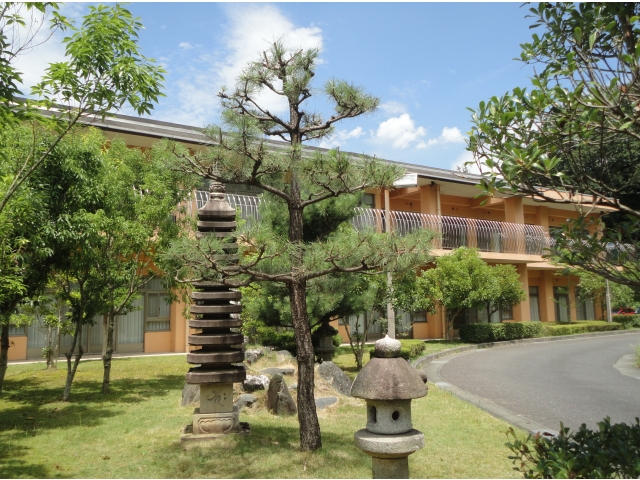 きれいになりました