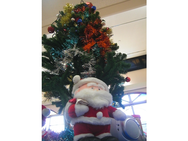 はじまるよ～！！