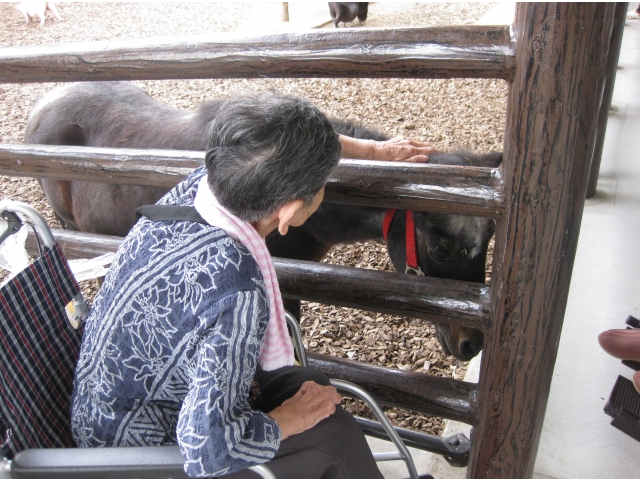 かわいいポニー♪