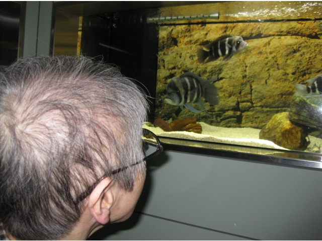 きれいな魚が沢山いました