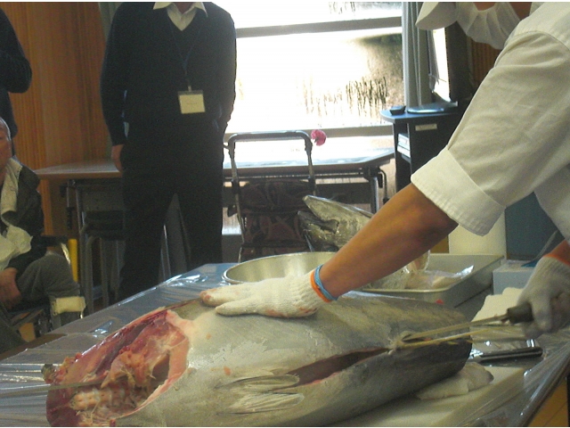 34kgのマグロ！！