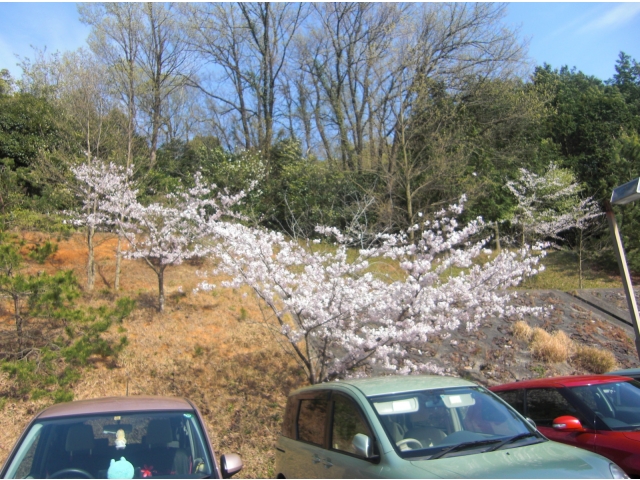 写真が趣味という利用者様が撮ってくださいました♪