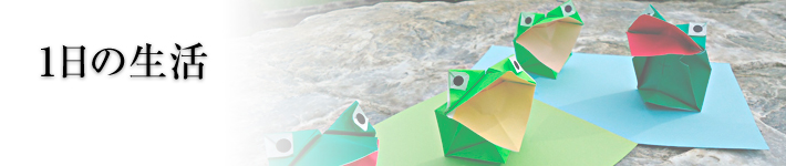 1日の生活