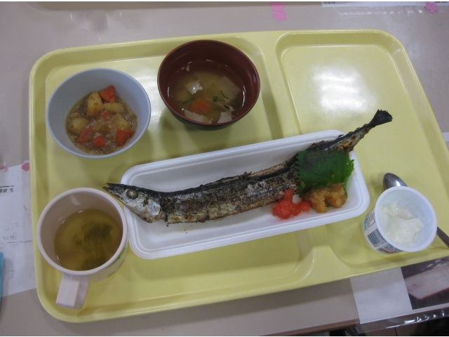 まるまる一匹！