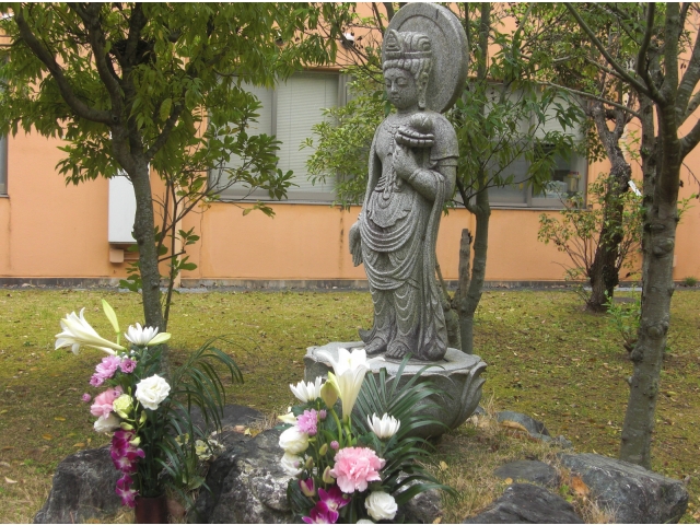 面会時にでも会いに来てくださいね