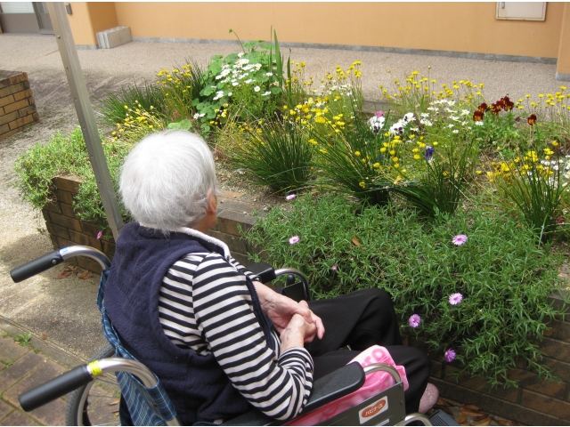 綺麗な花だねぇ～