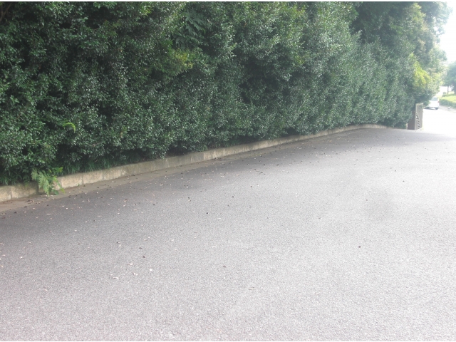 こんなにきれいになりました！