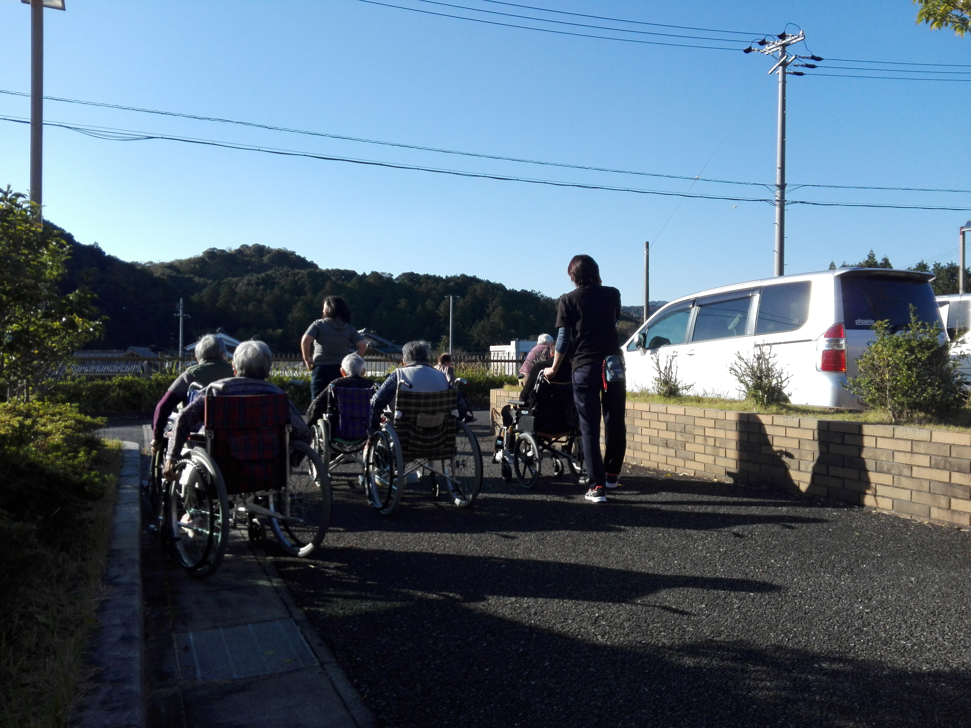 久しぶりの散歩