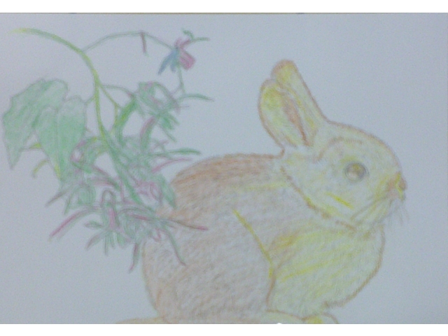 当苑の最高齢106歳と11か月の女性利用者様の作品です。