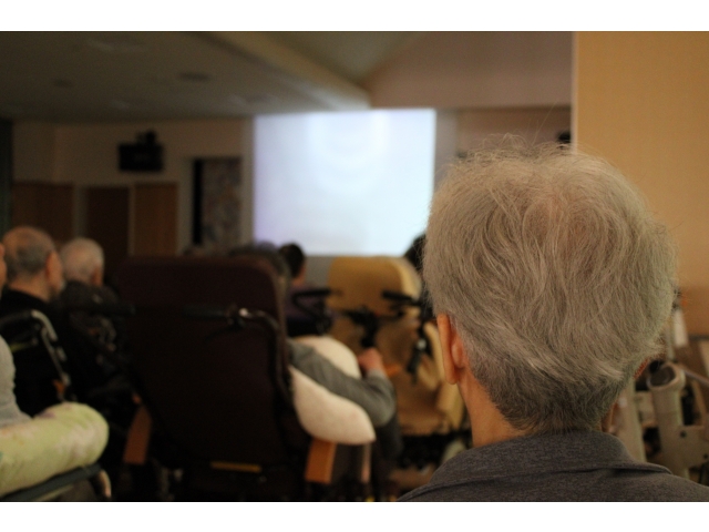 真剣に見入っています