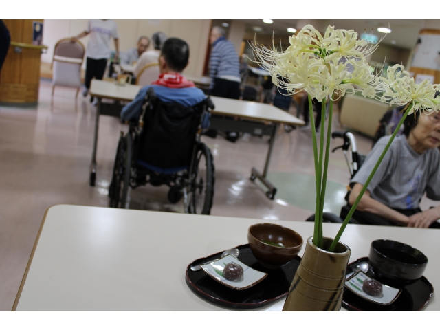 お抹茶、水饅頭と彼岸花
