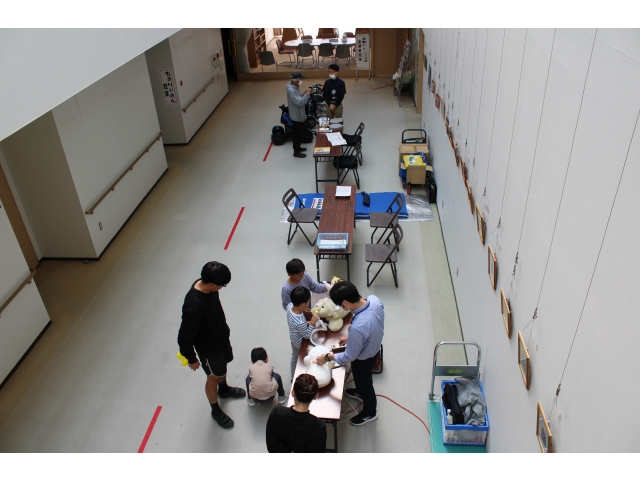 癒し系ロボは人気