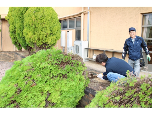 まずは樹の切り倒し