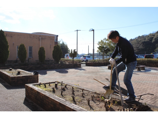根の掘り起こし