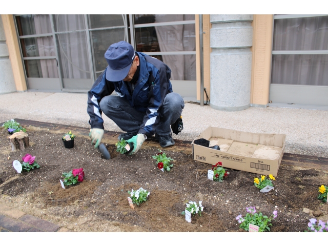 植え付けが楽しい