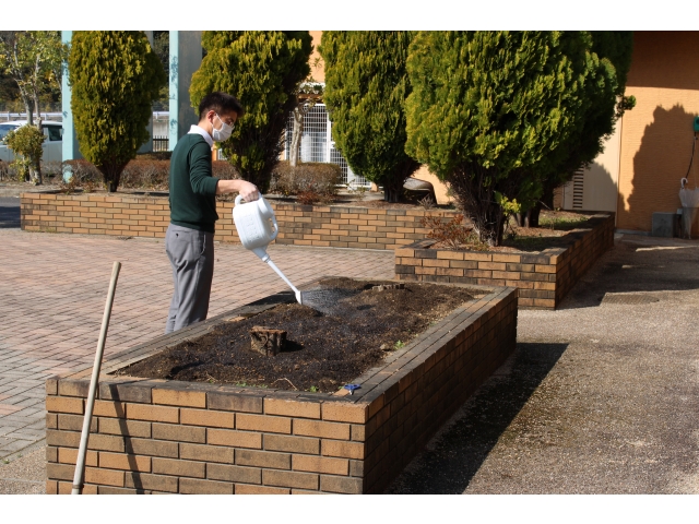 水をやって完成