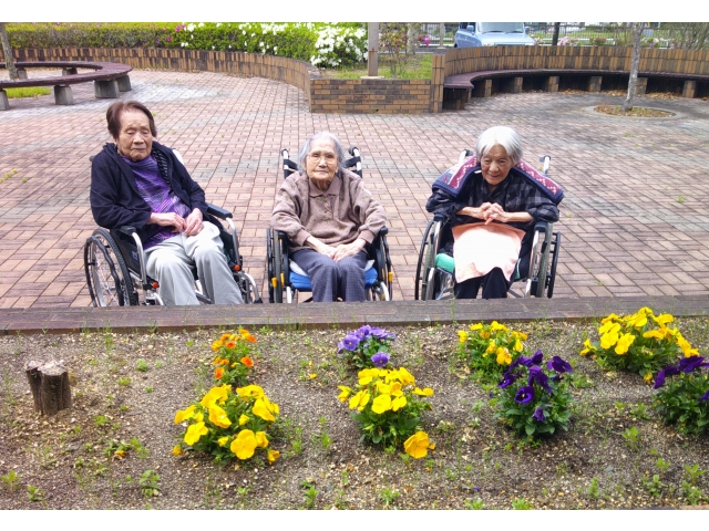 「キレイに咲いたね～」