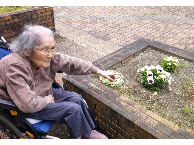 「これは何ていう花だっけ？」