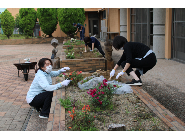 猛暑に耐えてくれた花たちをお引越し。