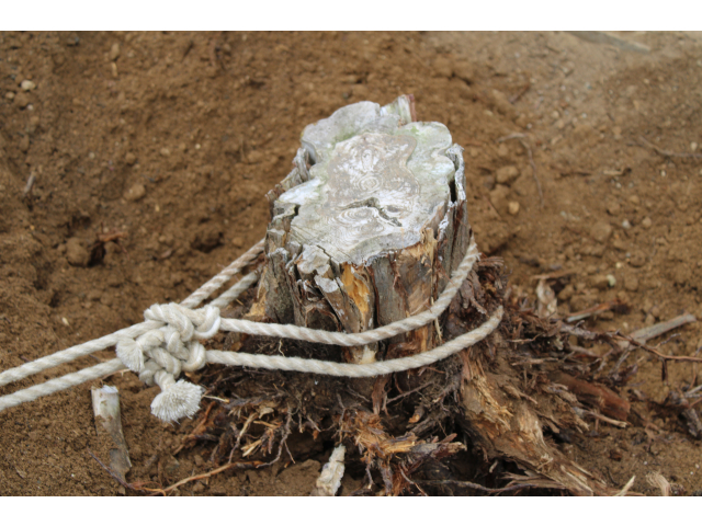 押しても引いても抜けません…