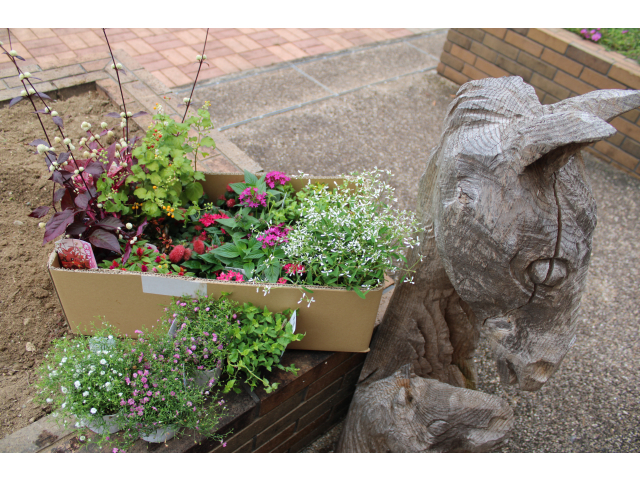 私のおススメはキャットテール♡検索してみてください！！