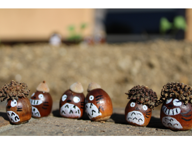 １０月１９日お待ちしています！！