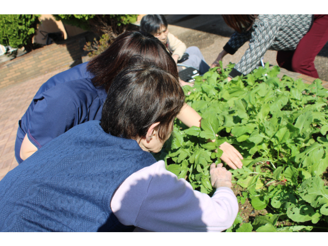 間引きについて伝授してもらっています。