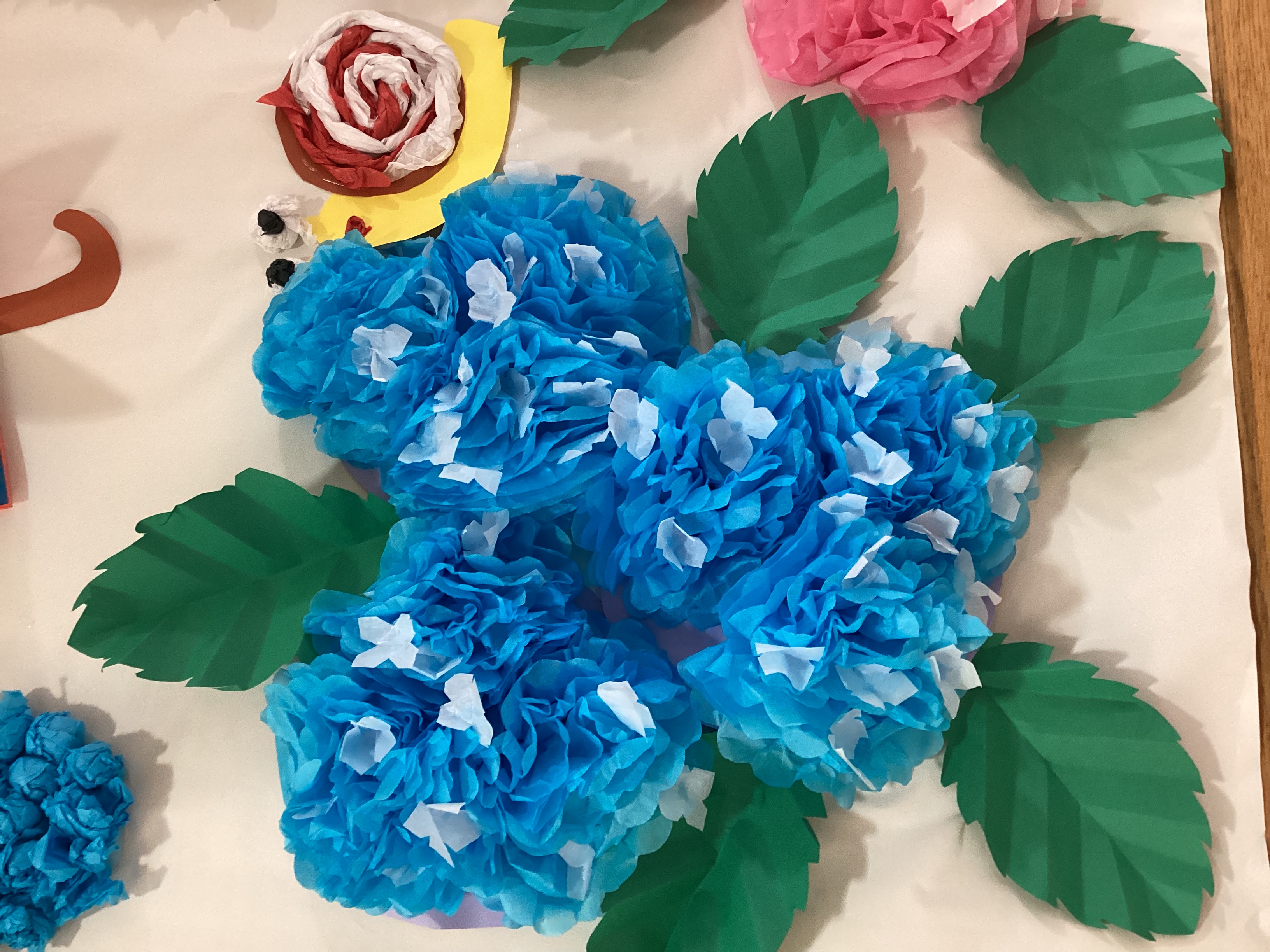 青色の鮮やかな紫陽花🌸