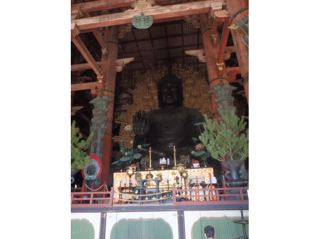 大仏様、やっぱり大きいです