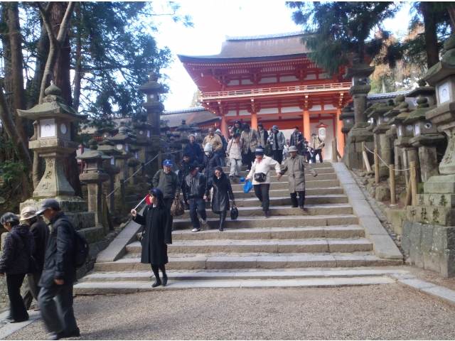 春日大社も階段が多かった
