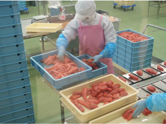 明太子の製造工程