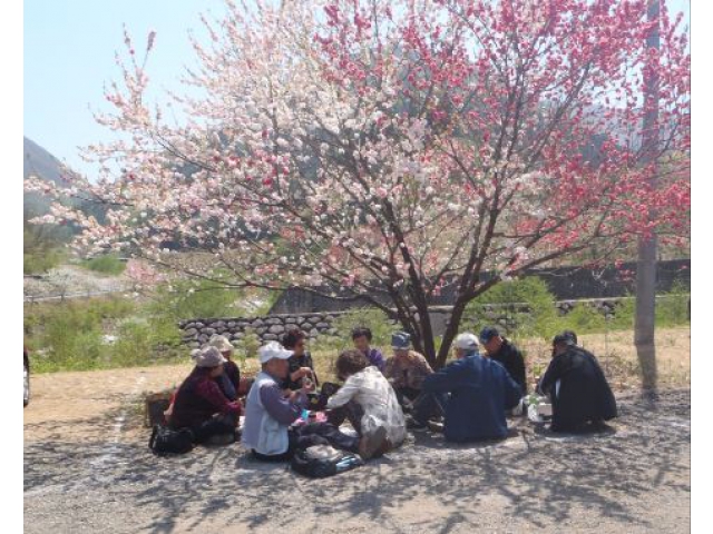 花桃の里で昼食を食べました
