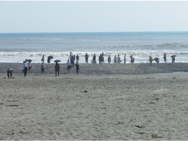 波が結構大きかった