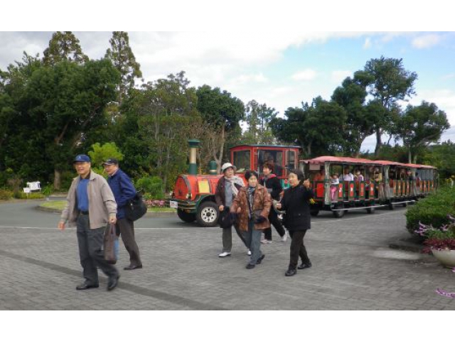 フラワートレインで園内見学