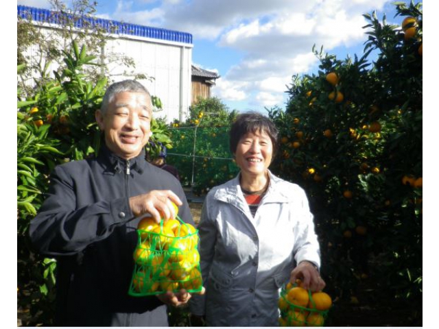 たくさん採れました