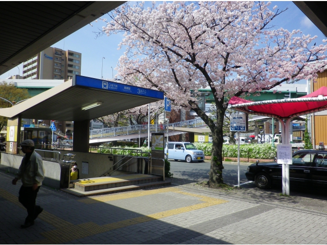 集合場所（鶴舞駅）にも桜