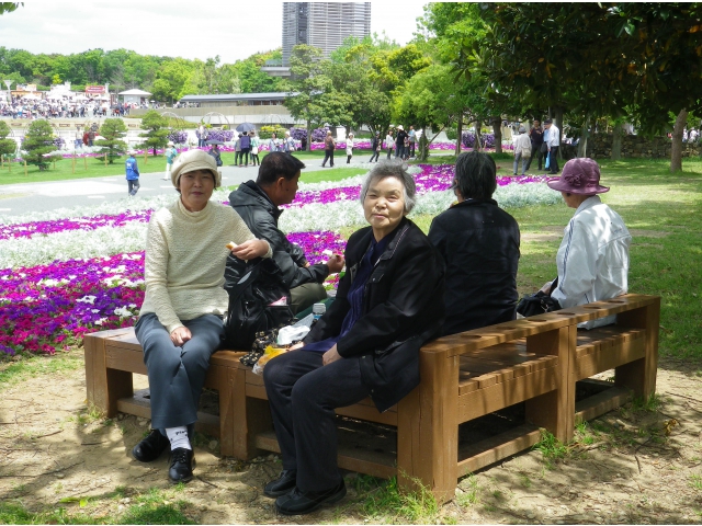 花を見ながら昼食