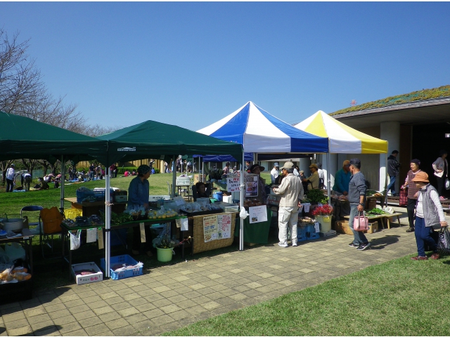 とても良い天気でした