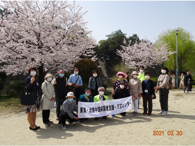 観桜会（名城公園）