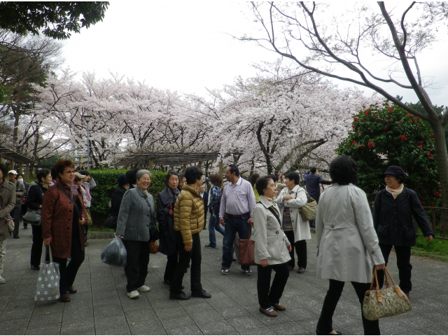 名城公園南付近