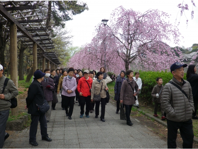 藤棚を通って北園へ向かいます