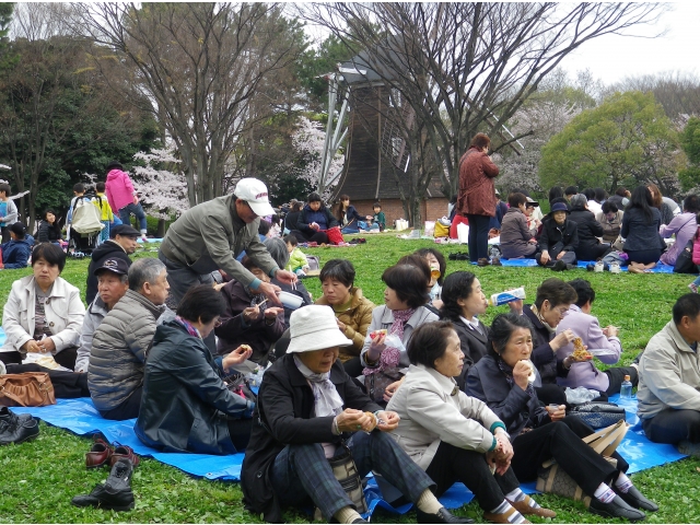 シートに座ってお昼ご飯