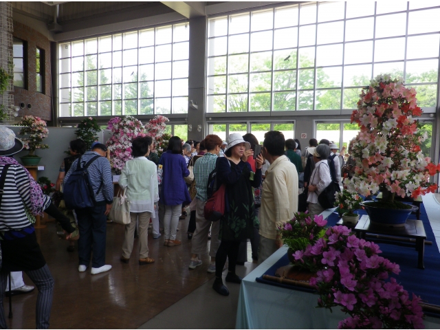 管理棟に展示された花を見学しました