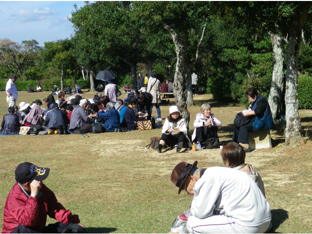 ともやま公園でお弁当を食べました
