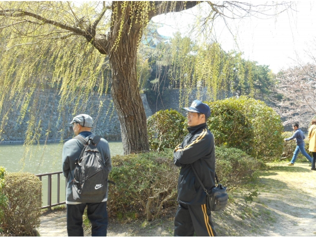 柳の花見？？？