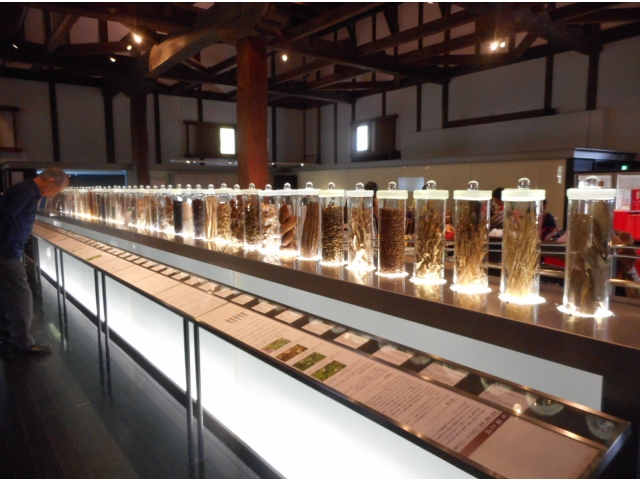 記念館には、生薬の展示コーナーがありました