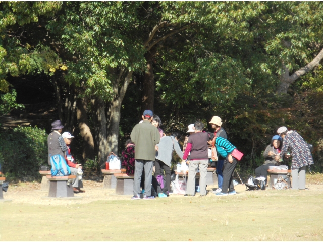 浜松城公園でお弁当を食べました