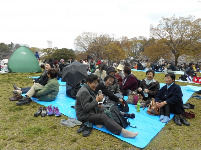 角度を変えると、花が殆ど見えません。残念！