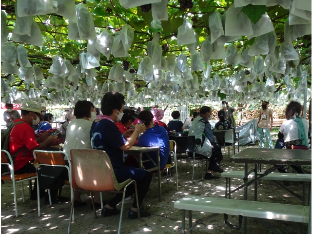 園主の説明（おいしいぶどうの見分け方）