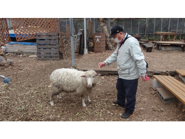 「にんじん、おひとつどうぞ！」